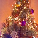 ���� �������, �������, 51 ��� - ��������� 12 ������ 2024 � ������ ���� ����������