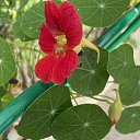 ���� �����, �����-��������� - ��������� 31 ���� 2025 � ������ ���� ��������� ���� ���-��������!�