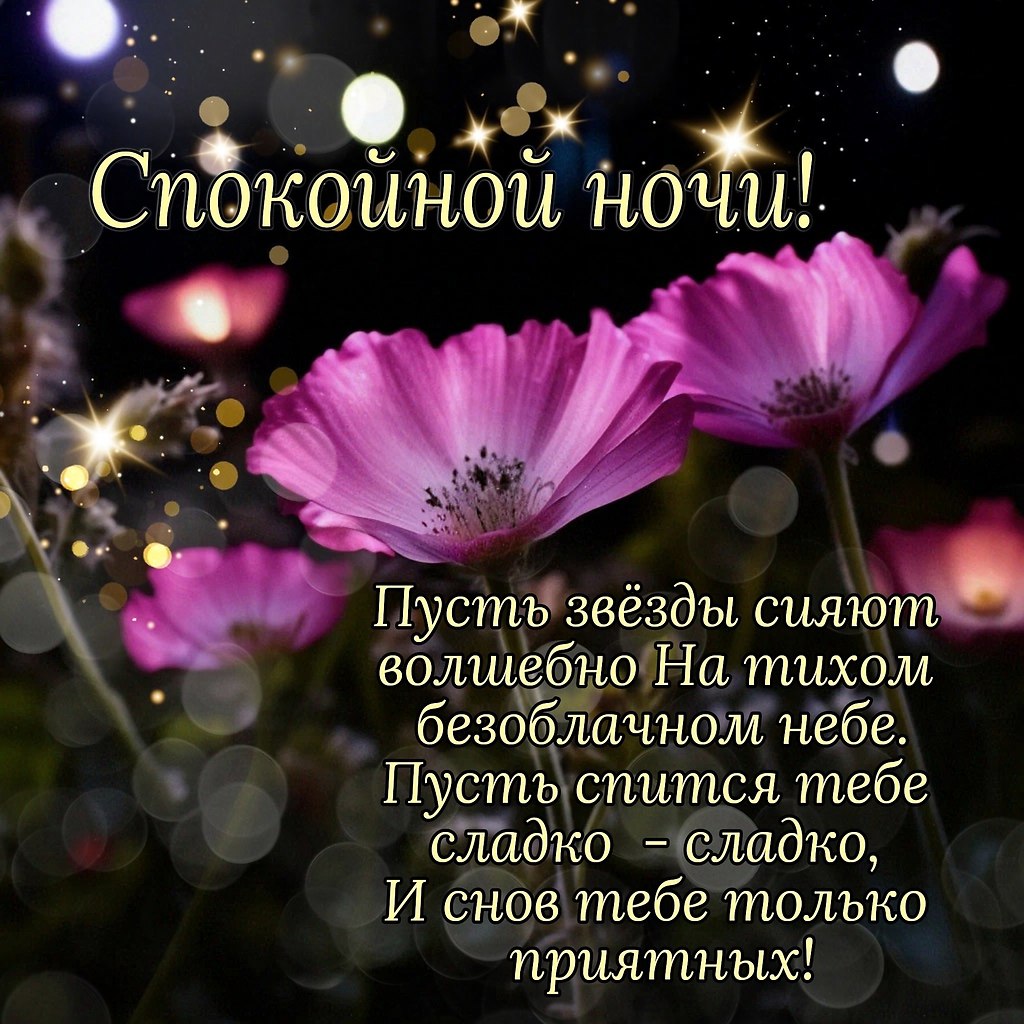   ,    . - 5  2025  21:16