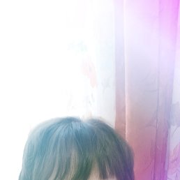 ���� �����, ��������� - ��������� 8 ������ 2026