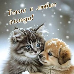 Bezgrebelnyi Dmitri, ������, 55 ���