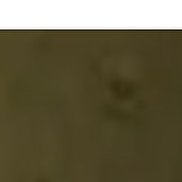 , 50 , 