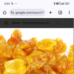 ���� ������� �������, ������, 50 ��� - ��������� 8 ������� 2025