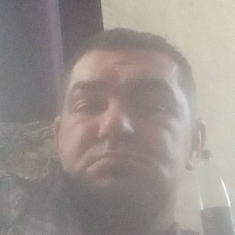 �������, �����-���������, 44 ����