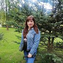  ,  , 41  -  29  2025