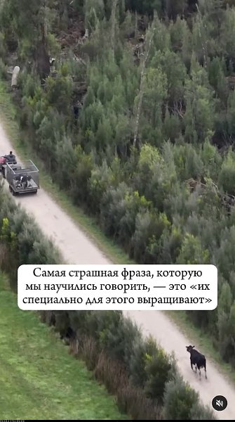 «Если бы у скотобоен были стеклянные стены, все люди были бы вегетарианцами». (Пол МакКартни) - 2