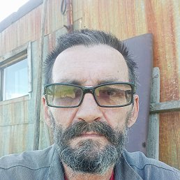 , 54, 