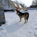 ���� ������, �������, 33 ���� - ��������� 13 ����� 2024 � ������ ���� ����������