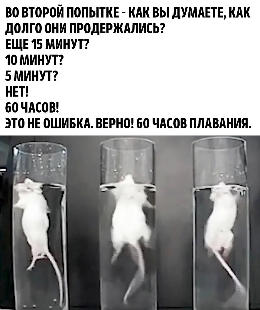 -    - 3
