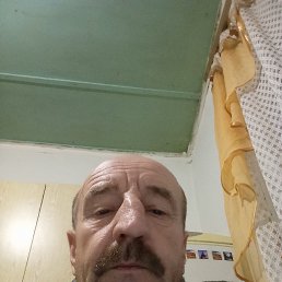 , 54 , 