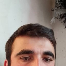 , 27, 