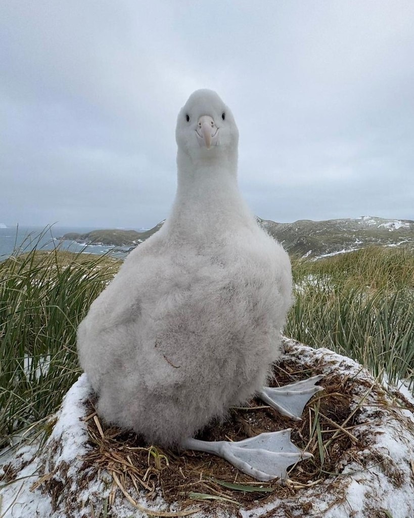 ,   -    : 1.    2.  ...