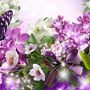 ���� ����, �������, 45 ��� - ��������� 30 ������� 2024 � ������ ������ ��������