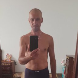 ���� ����, �������, 48 ��� - ��������� 14 ������� 2026