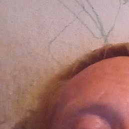 �������, ����, 38 ���