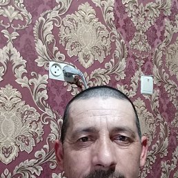 , 44, 