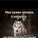 ���� ����, ���������, 45 ��� - ��������� 6 ������� 2026