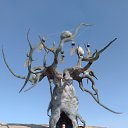 ��������� �������