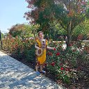 ���� ����, ������, 34 ���� - ��������� 5 �������� 2025 � ������ ���� ����������