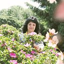 ���� �����, �����, 57 ��� - ��������� 10 ������ 2026