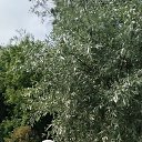 ���� �����, ������������, 57 ��� - ��������� 14 ���� 2025 � ������ ���� ����������