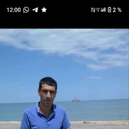 , 37, 