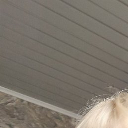 ��������, �����, 59 ���