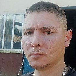 ������, �������, 37 ���