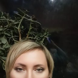 , 42 , 