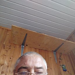 , 54 , 