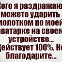 ���� ��������, ������� - ��������� 10 ��� 2026 � ������ ������ ��������