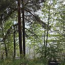 ���� ������, ������ - ��������� 30 ��� 2026 � ������ ���� ����������