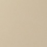 ���������, 47 ���, �����������