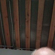 , 61 , 