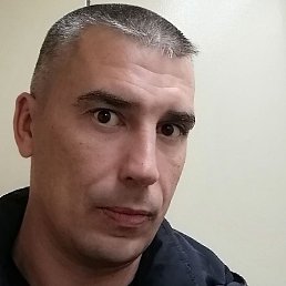 ����, ������, 41 ���