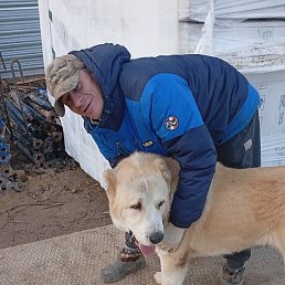 �����, ����, 42 ����