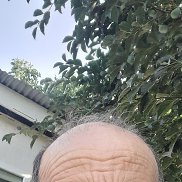 , 62 , 