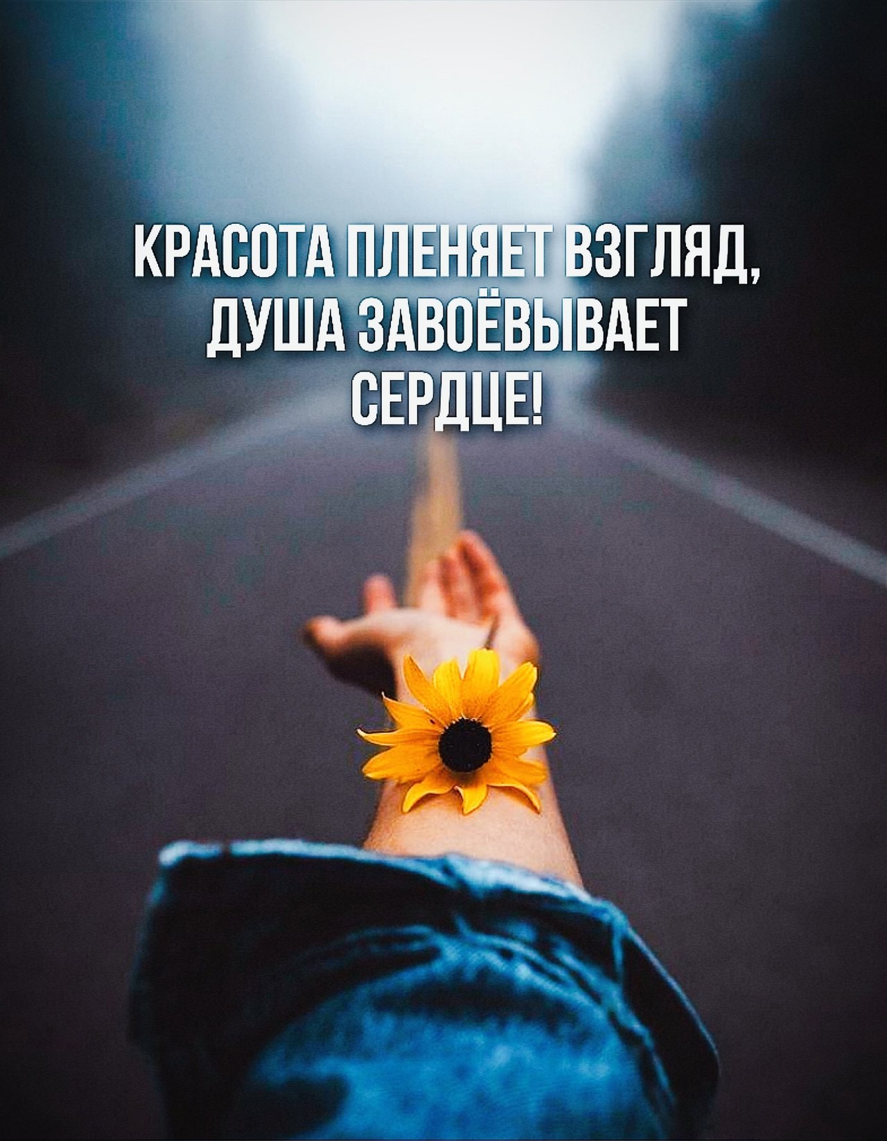  - 26  2025  15:41