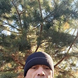 , 41, --