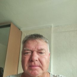 , 65 , 