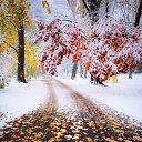 ���� Oleg, ����, 54 ���� - ��������� 31 ������� 2023 � ������ ������ ��������