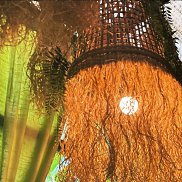 ���������, 23 ����, ����������