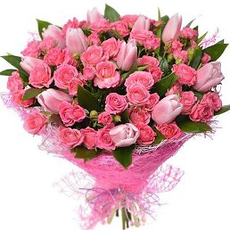 ����, �����-���������, 37 ���