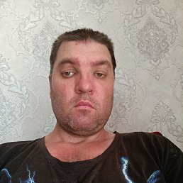 , 37, 