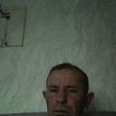  , , 44  -  25  2024    