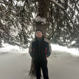 ����, �����, 37 ���