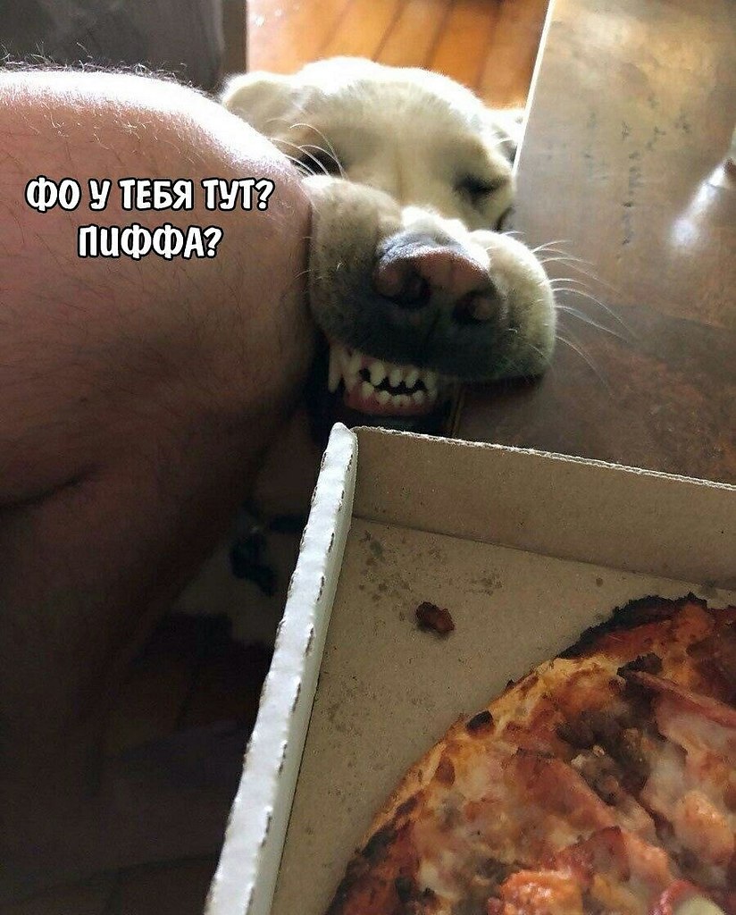    - 6  2023  11:20