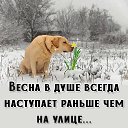���� ���������, ������ ��������, 60 ��� - ��������� 14 ����� 2026 � ������ ������ ��������