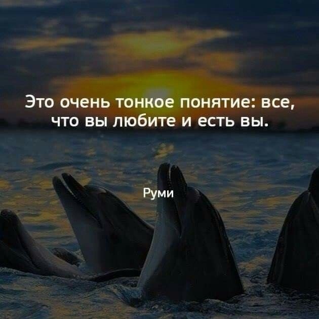   - 31  2024  16:48