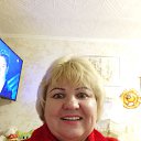 ���� Albina, �����������, 62 ���� - ��������� 30 ������ 2026